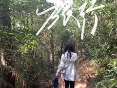 -九龙潭景区