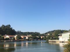 -明珠海港大酒店