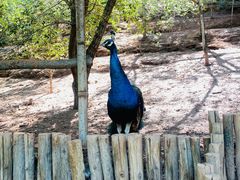 -伊帆食府·青海地方特色美食