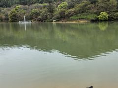 -广州白江湖森林公园