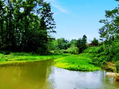 -桤木河湿地公园