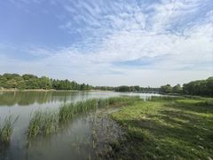 -苏州东太湖生态园