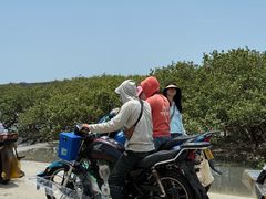 -北海金海湾红树林生态旅游区