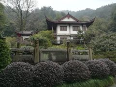-十八棵（老龙井）御茶园(老龙井店)
