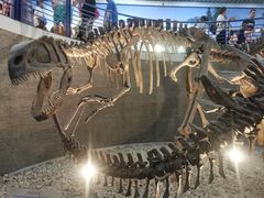 -国家自然博物馆