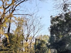 -岳麓山风景名胜区