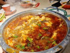 -蜀滋香鲜鱼美蛙火锅(339店)