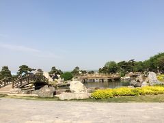 iphone_upload_pic-中国唐苑