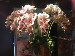 -纯K(打浦桥店)