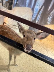 -酷嗒动物文化乐园(cutezoo西溪乐天城店)