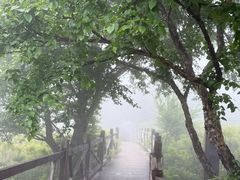-妙峰山风景名胜区