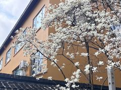 -龙华寺