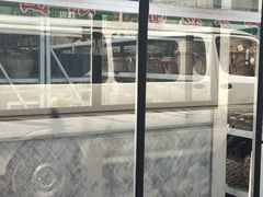 -龙大花卉苗木市场