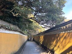 -普陀山慧济禅寺