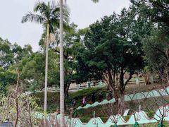 -龙环葡韵住宅式博物馆