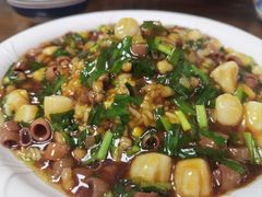 -鲁前海沿儿
