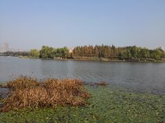 -尚贤河湿地