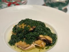 -桂满陇·海市蜃楼·黑金(国金店)