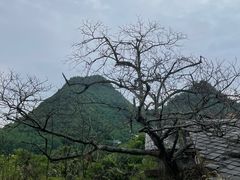 -贵阳市花溪国家城市湿地公园