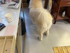 -肆兮眼镜·蔡司·徕卡战略合作店(大坪店)