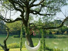 -常德桃花源景区
