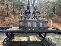 -北京张裕爱斐堡酒庄