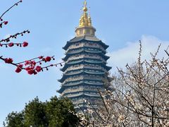 -红梅公园
