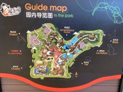 -七巧国萌宠乐园(龙湖天街店)