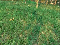 -河南省黄河迎宾馆