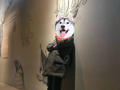 -瓦萨沉船博物馆