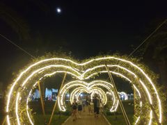 -野狸岛