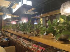 -柿子树炭烤羊腿(金台路店)