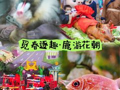 -长鹿旅游休博园
