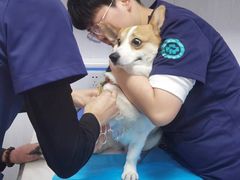 -泰康动物医院·猫科中心·外科中心(塘沽店)