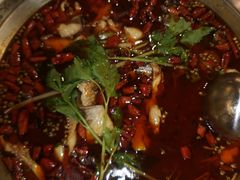 -蛙一刀·麻椒鱼火锅(金仙桥店)