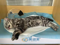 -美迦爱-牙专科·兔科·骨科诊疗中心(北苑店)