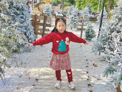 -HERRE·FARM 赫尔露营农场·团建聚会包场