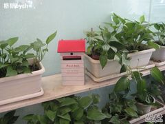 -Babycat私家御饼屋(龙头路一店)