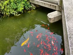 -苏州文旅花间堂·探花府酒店