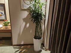 -淳SPA·精油按摩(蓝海御华大饭店)