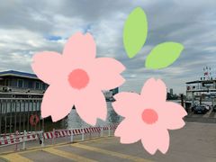 -长洲岛