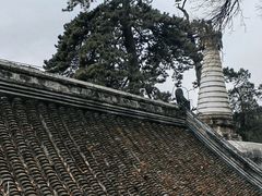 -潭柘寺景区