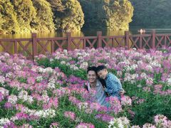 -广州市石门国家森林公园