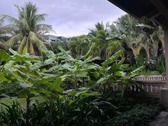 -海南清水湾莱佛士酒店