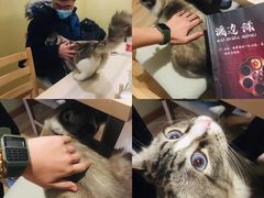 -白兔子密室(长寿路店)