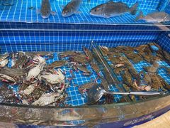 -乔哥铭洋海鲜自助(皇城恒隆广场店)