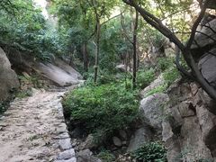 -大岭沟猕猴桃谷风景区