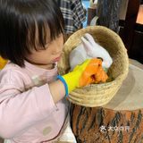 小朋友特别爱把小兔子抱出来撸