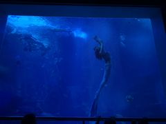 -太平洋海底世界