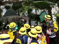 -杨梅红艺术教育(水贝教学中心)